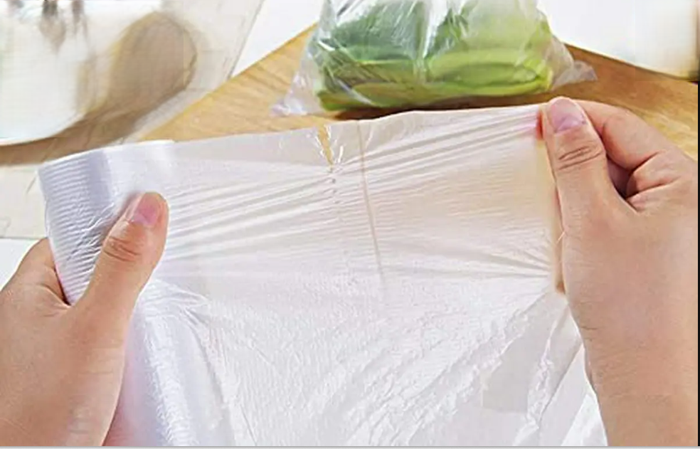 Bolsa para llevar los alimentos